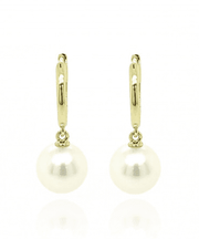 9ct Yellow Gold Culture Pearl Huggy Earrings