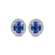18ct White Gold Sapphire and Diamond Stud  Earrings
