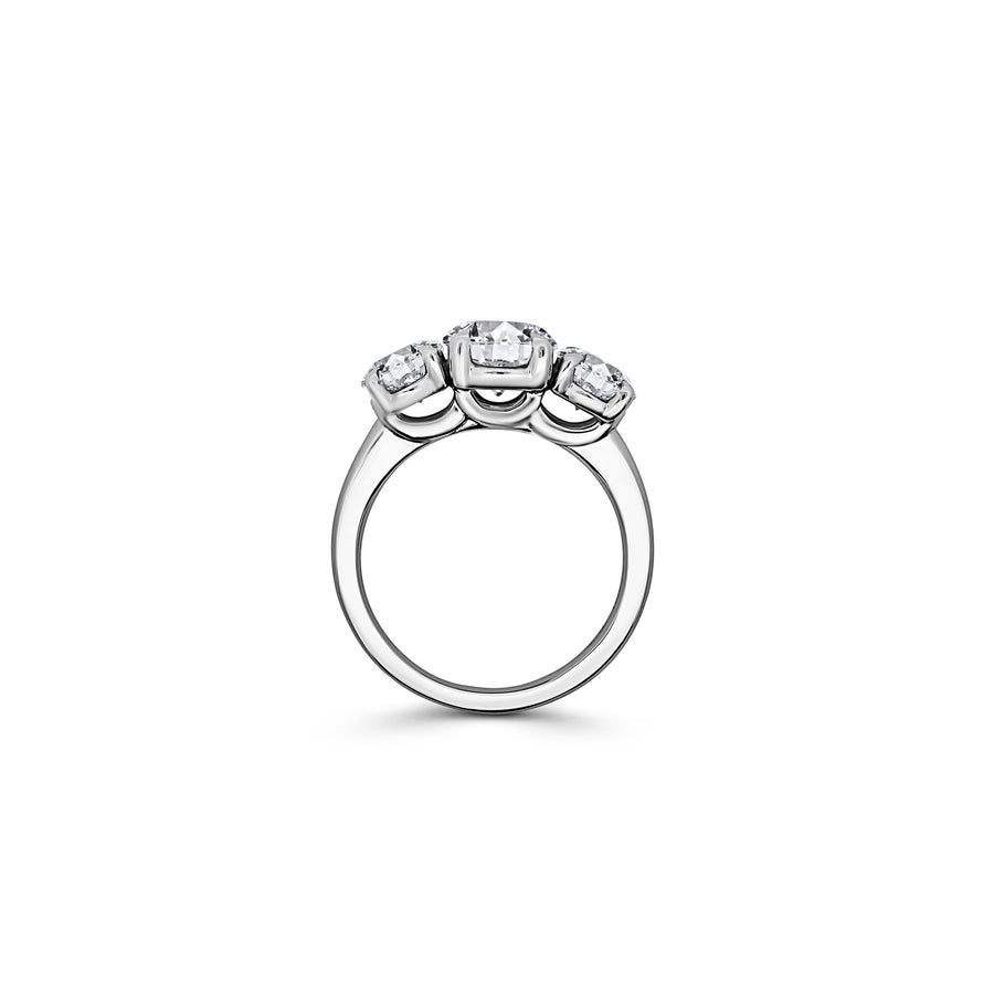 Platinum Round Brilliant Cut Trilogy Engagement Ring