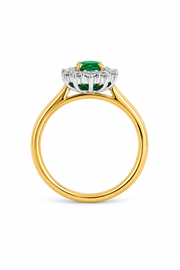 18ct Yellow Gold & Platinum, Emerald & Diamond Halo Engagement ring.