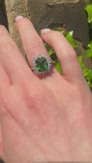 Evergreen Platinum And Yellow Gold, Tourmaline And Diamond Ring